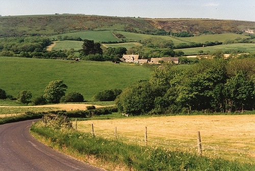 7428745862_d4f7acd26a