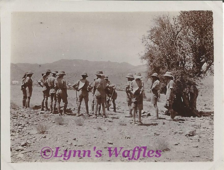 photo-05-11-2016-16-42-59