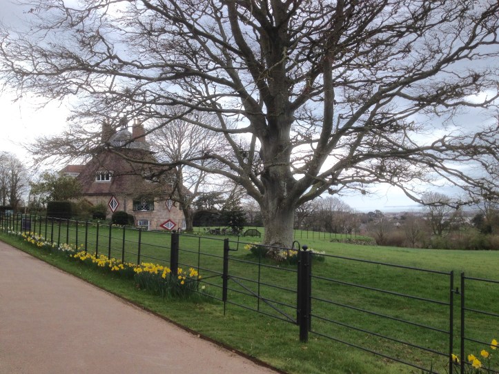 a la ronde springtime