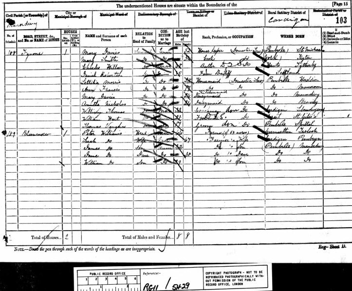 1881 Ffynone NO Mrs Colby